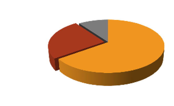 Developers Section